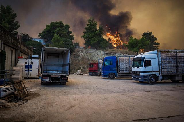 φωτια ευβοια