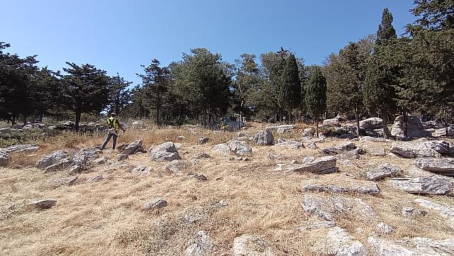 δήμος χερσονήσου αντιπυρική ζώνη
