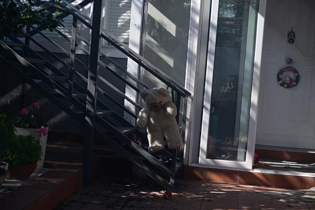 φωτια στη ραφηνα