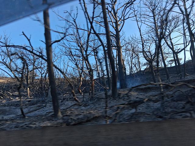 Φωτιά στην Ιεράπετρα