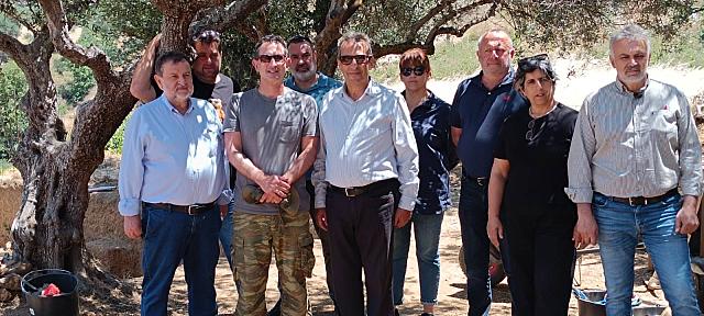 Αρχαία Λύκτος