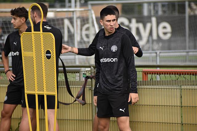 οφη ολλανδια