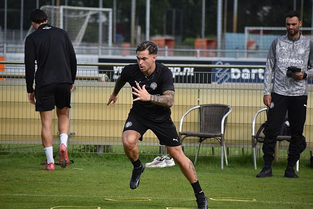 οφη ολλανδια