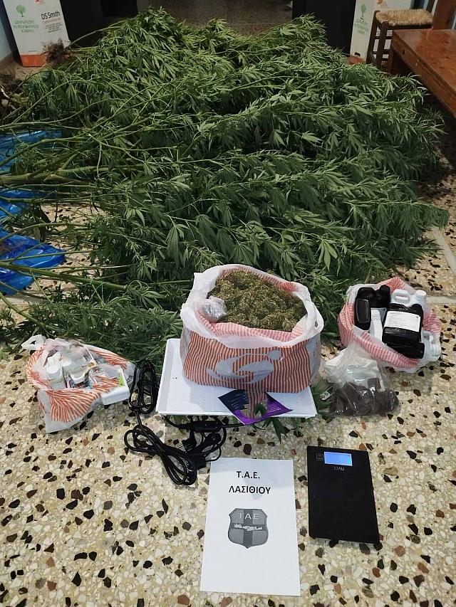 κάνναβη ιεράπετρα