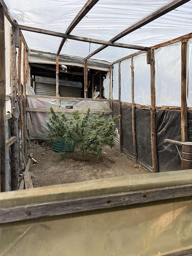 κάνναβη ιεράπετρα