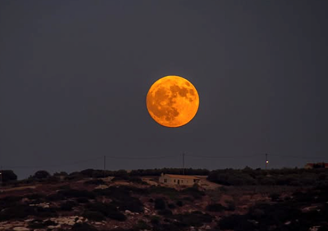 πανσεληνος