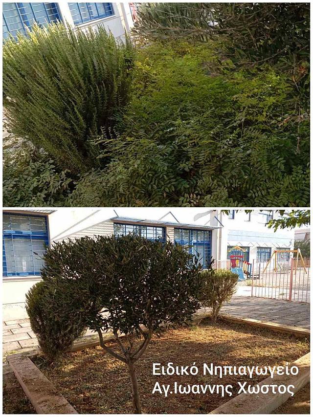 σχολεια καλλωπισμος