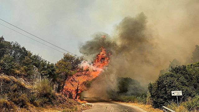 φωτιά στη Λιθακιά Ζακύνθου