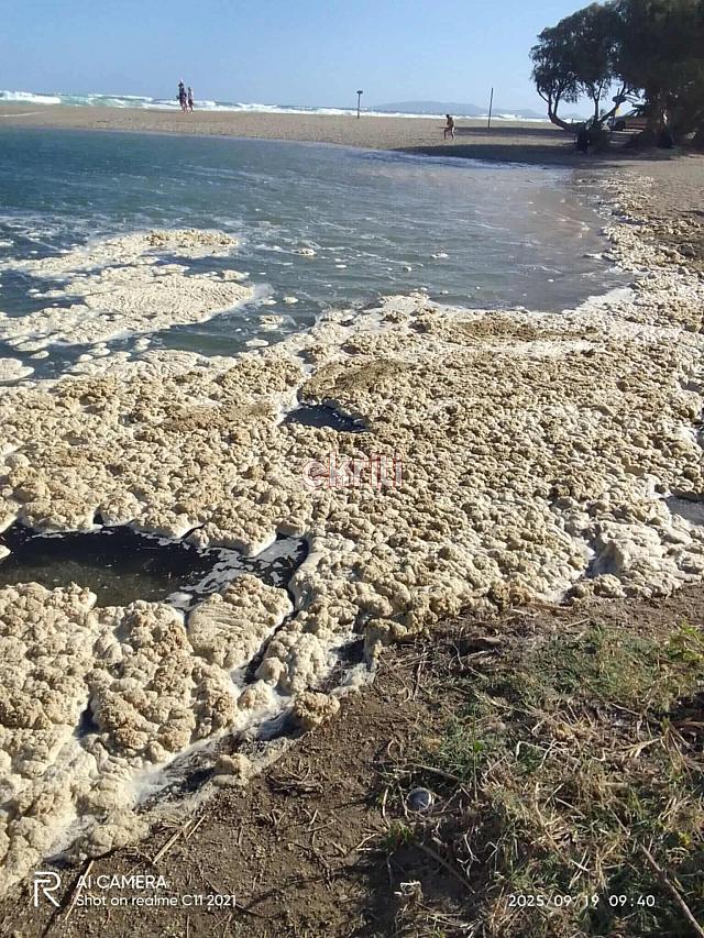 αλμυρός αφροί