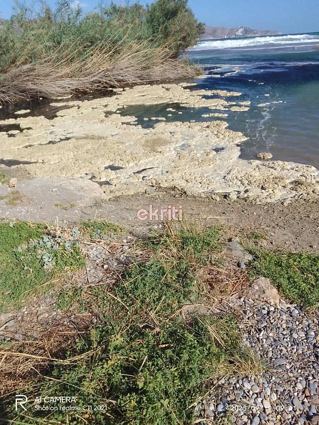 αλμυρός αφροί