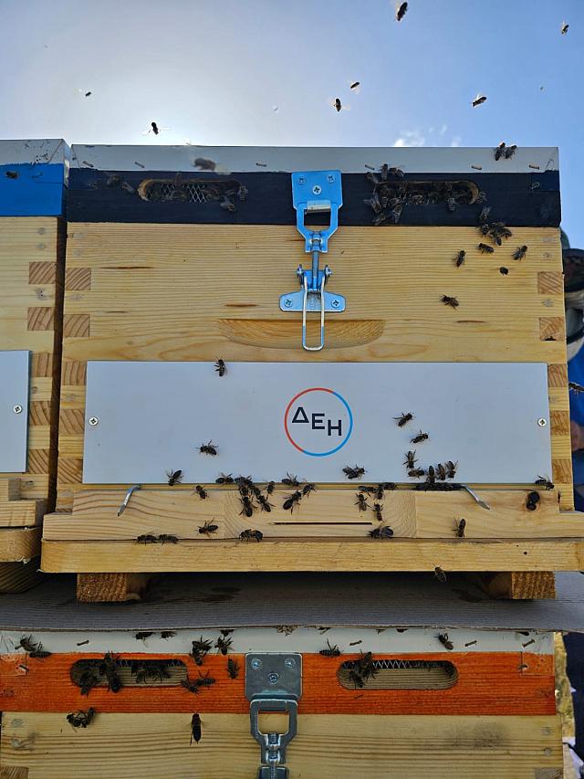 ΔΕΗ restart evros