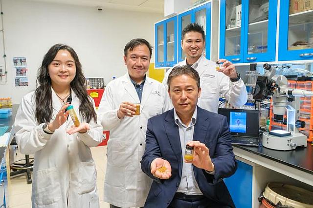 ΣΠΙΣΤΗΜΟΝΕΣ ΣΙΓΚΑΠΟΥΡΗ