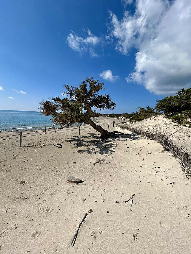 νησος χρυση