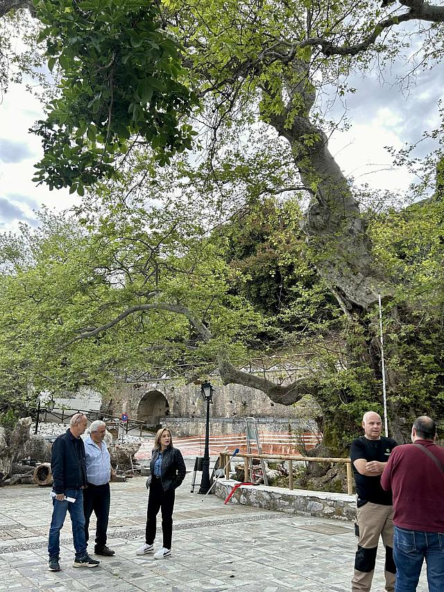 Αποκεντρωμένη Συνάντηση Παρατηρητήριο Αστικού Πρασίνου