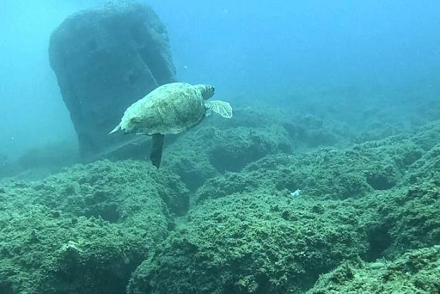 ΚΑΤΑΔΥΤΙΚΟ ΠΑΡΚΟ ΣΤΑΛΙΔΑΣ