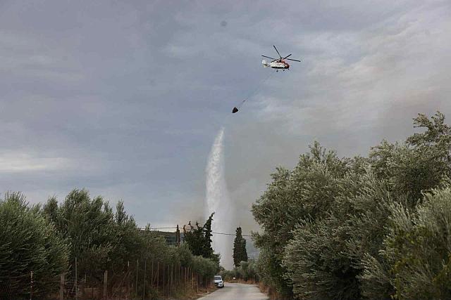 φωτιά Μαλάδες