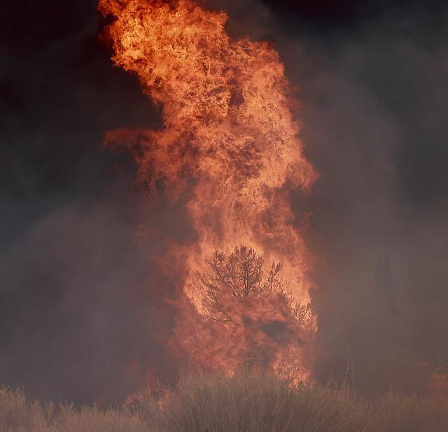 Φωτιά στις Μαλάδες