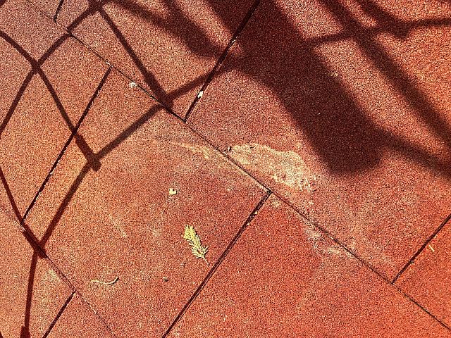 βανδαλισμοί