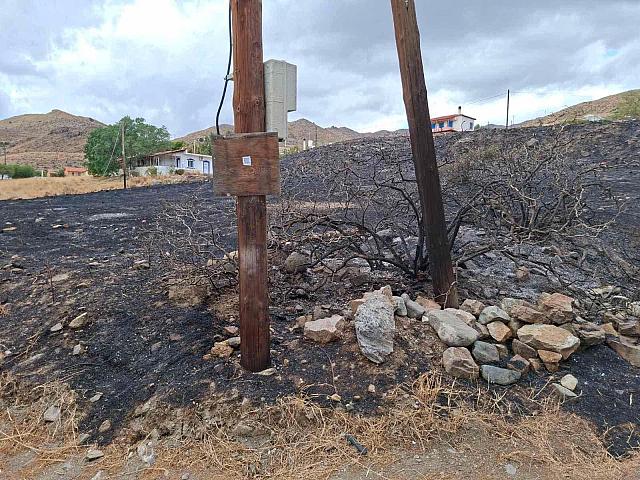 φωτιά - Λέντας