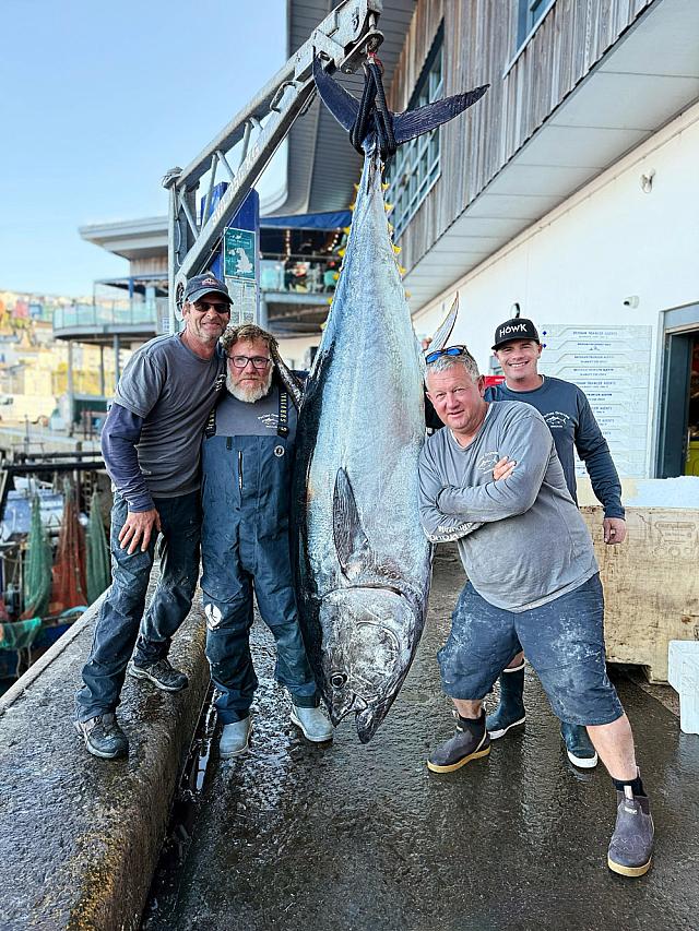 γιγαντιαίος τόνος