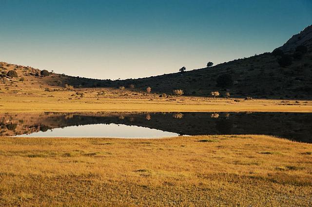 ΟΜΑΛΟΣ ΒΙΑΝΟΥ