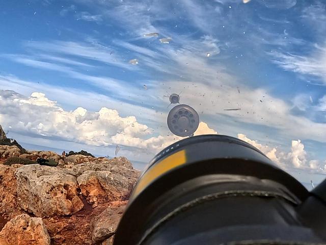 «Δικέφαλος Αετός-25»