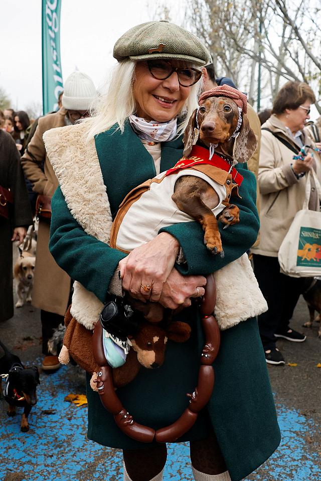 σκύλος, λουκάνικο