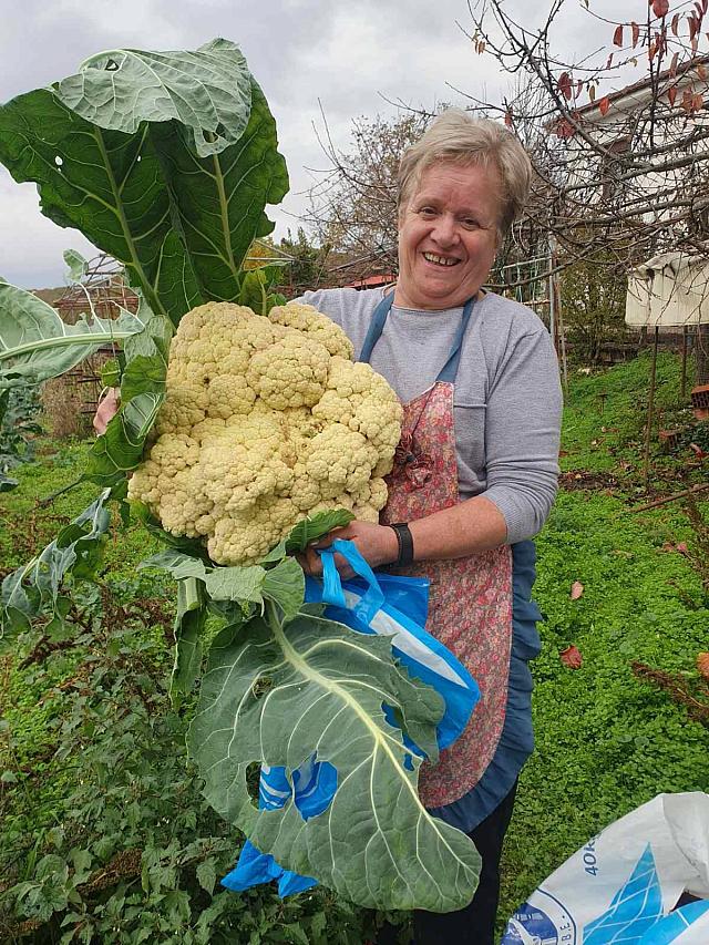 ΚΟΥΝΟΥΠΙΔΙ ΓΡΕΒΕΝΑ