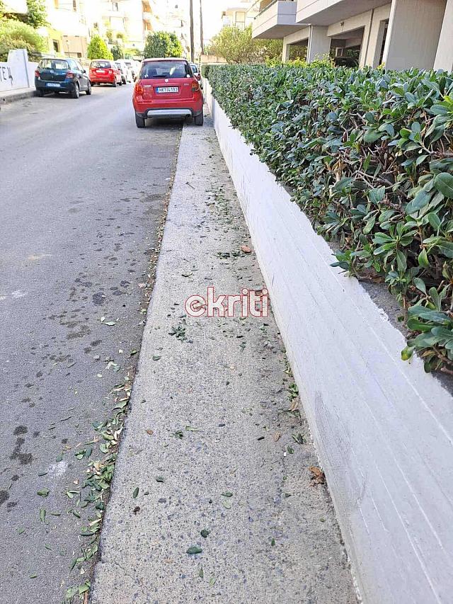 Καθαριότητα