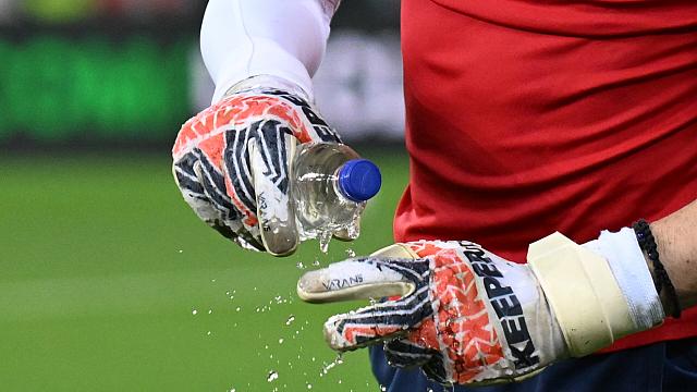 τερματοφύλακας