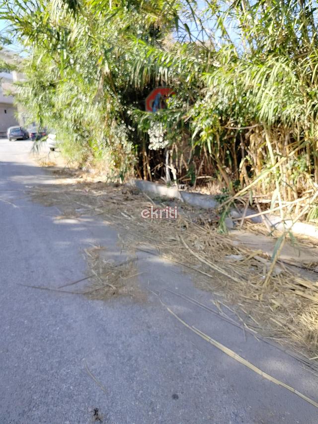 γιόφυρο σκουπίδια