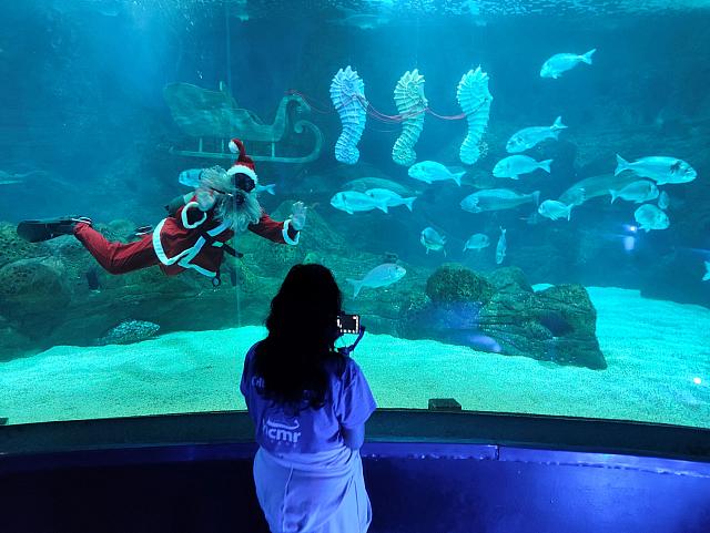 ξενάγηση ενυδρείο 