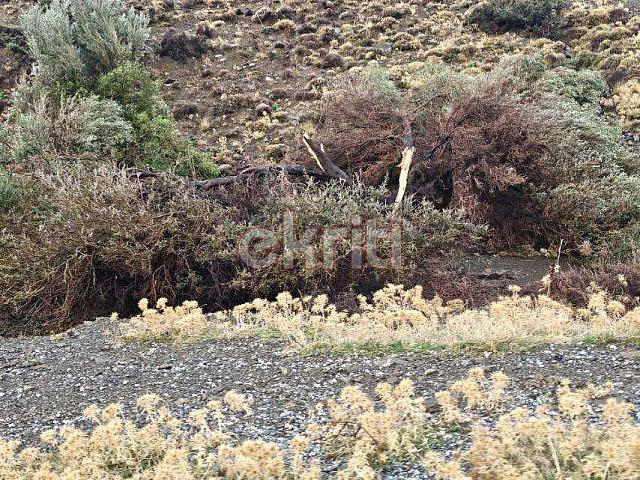 τσούτσουρας κακοκαιρία