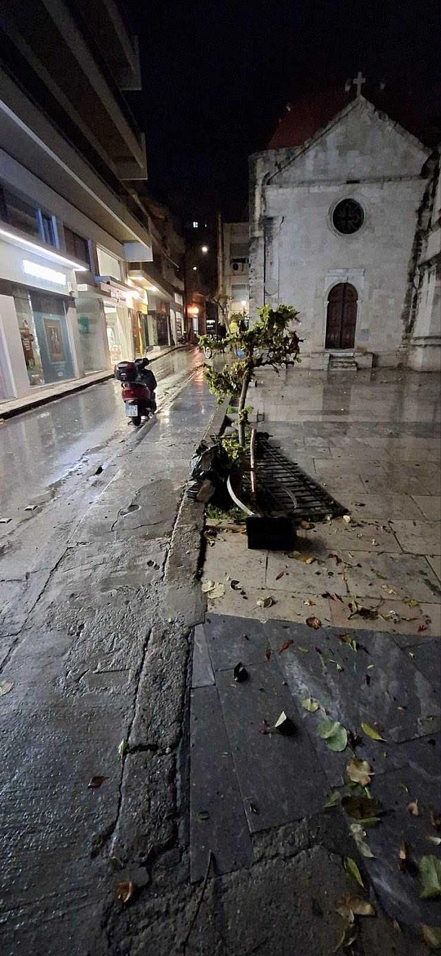 αγια αικατερινη πτωση δεντρου