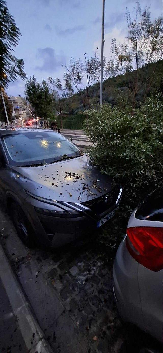 πτωση δεντρου