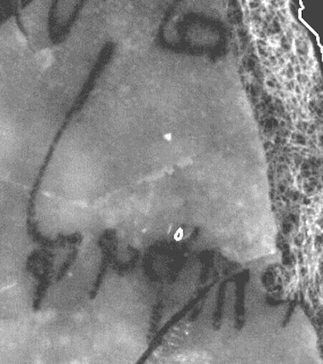 Ισραήλ χειρόγραφα