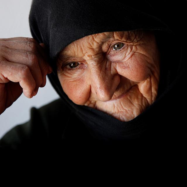 αεναες μορφες αστερουσιων - λευκωμα μετζακη