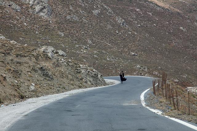 αεναες μορφες αστερουσιων - λευκωμα μετζακη