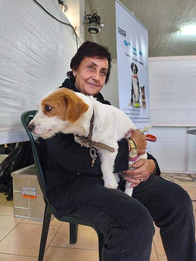 ΖΩΑ ΣΥΝΤΡΟΦΙΑΣ