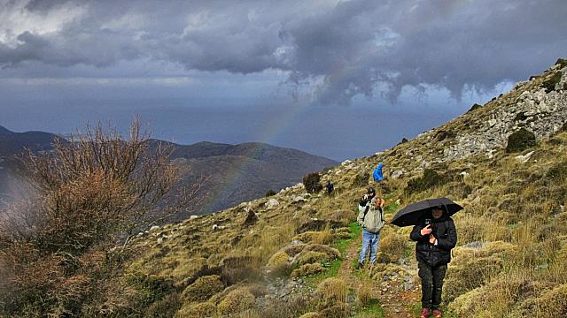 περιπατητες