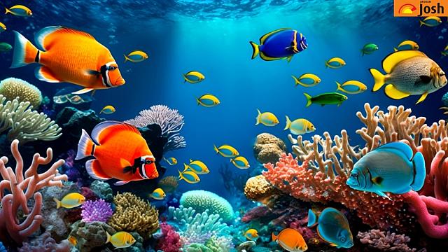 ψευδαίσθηση, αστέρας