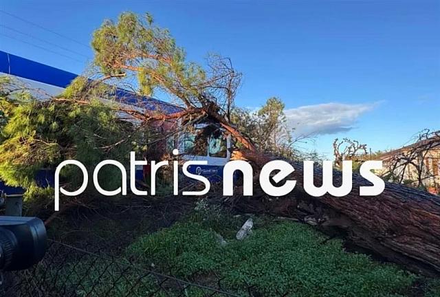 τρένο Ηλεία