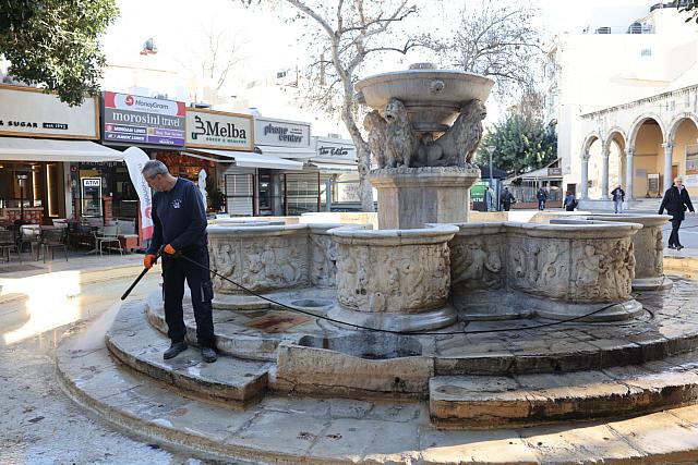 Λιοντάρια καθαρισμός