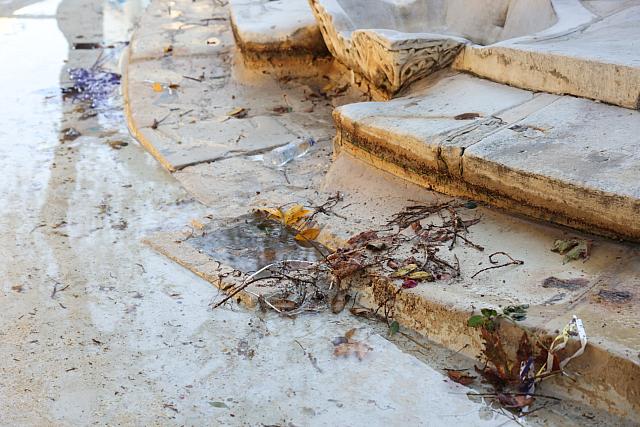 Λιοντάρια καθαρισμός