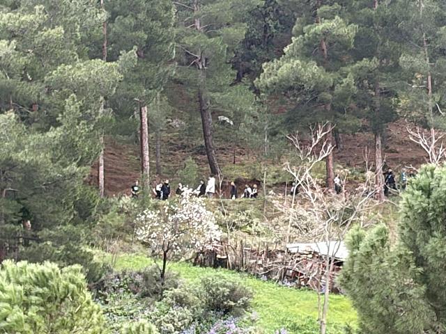 ΦΙΛΑΘΛΟΙ ΟΦΗ