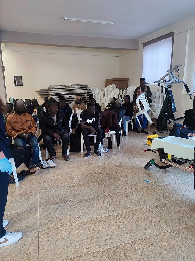 ψαρή φοράδα μετανάστες