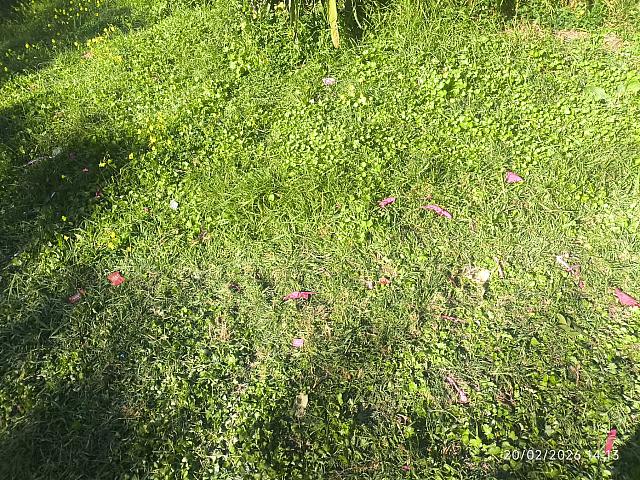 σκουπιδια μαρτινεγκο