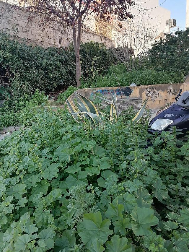 παρκάκι τίτου γεωργιάδη