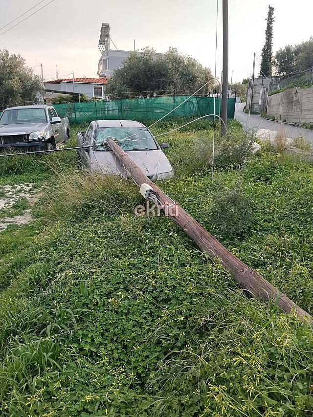 φοινικιά στύλος