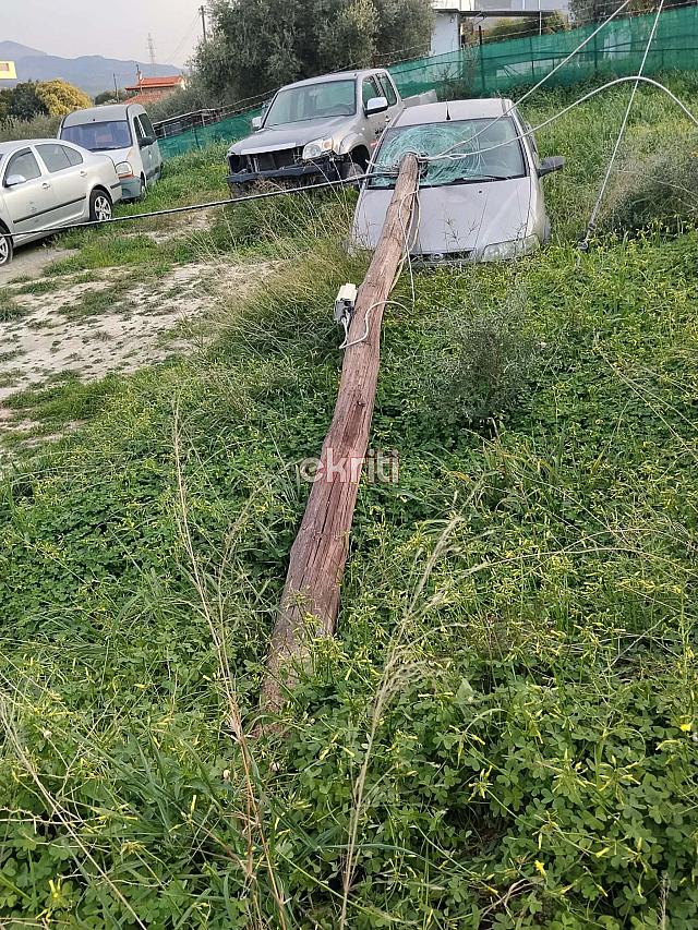φοινικιά στύλος
